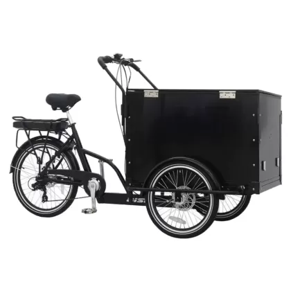 Электровелосипед Aist E-Cargo 250W