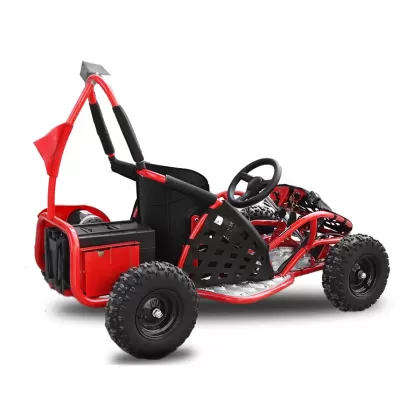 Электро багги 1000W Eco Buggy GoKid Электро багги 1000W Eco Buggy GoKid