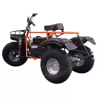 Купить трицикл ТРИТОН САФАРИ-3L-10 KP270 Трицикл ТРИТОН САФАРИ-3L-10 KP270