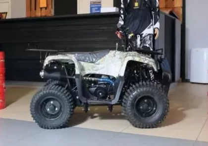 Купить Квадроцикл Motoland Rider 110 Квадроцикл Motoland Rider 110