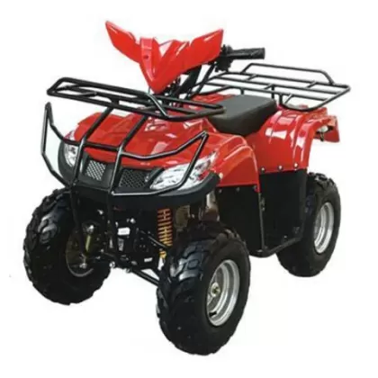 Квадроцикл бензиновый Тирекс (T-Rex) 125cc