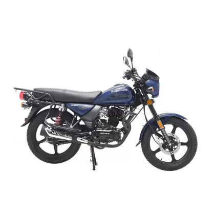 Купить мотоцикл Regulmoto SK200 Мотоцикл Regulmoto SK200