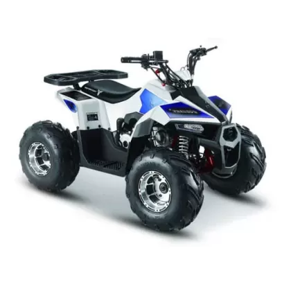 Купить квадроцикл MMG ATV MudHawk 110cc Квадроцикл MMG ATV MudHawk 110cc (2022)
