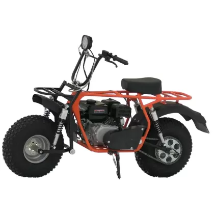 Купить мотоцикл СКАУТ САФАРИ 3L-8Е+ BIGFOOT Мотоцикл СКАУТ САФАРИ 3L-8Е+ BIGFOOT