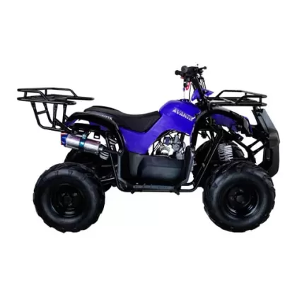 Купить квадроцикл Avantis Hunter 7 Lite 50cc Квадроцикл Avantis Hunter 7 Lite 50cc