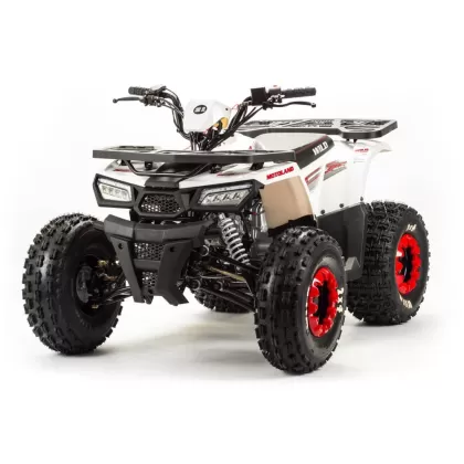 Квадроцикл MOTOLAND WILD 125сс