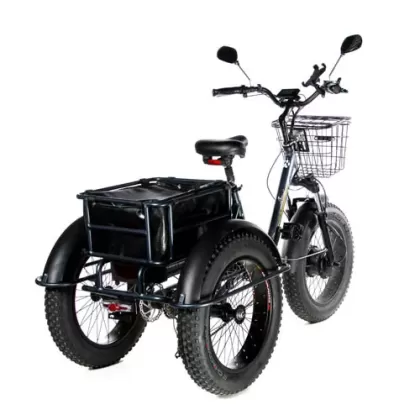 Купить электровелосипед трицикл E-Motions PANDA 750W Электровелосипед трицикл E-Motions PANDA 750W