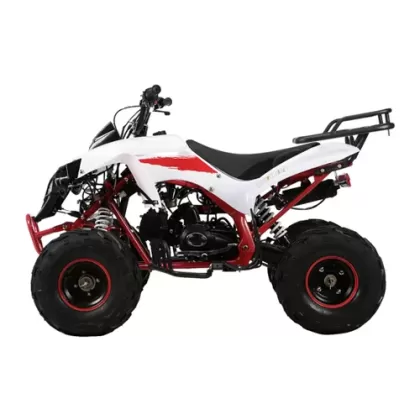 Купить квадроцикл WARRIOR RG7 125см + коробка автомат Квадроцикл WARRIOR RG7 125см + коробка автомат