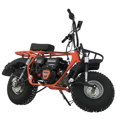 Купить мотоцикл СКАУТ САФАРИ 3L-8+ BIGFOOT Мотоцикл СКАУТ САФАРИ 3L-8+ BIGFOOT