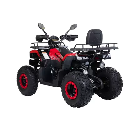 Купить квадроцикл Racer (Рейсер) RC200 GLADIATOR 200cc (машинокомплект) Квадроцикл Racer (Рейсер) RC200 GLADIATOR 200cc (машинокомплект)