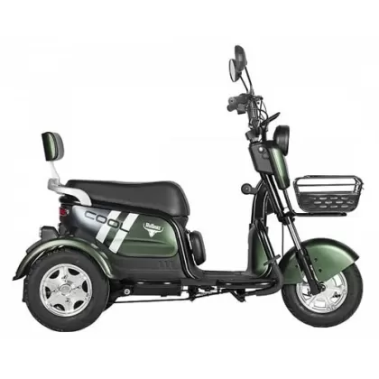 Купить трицикл Rutrike Шкипер 650W 48V без АКБ по выгодной цене Трицикл Rutrike Шкипер 650W 48V без АКБ