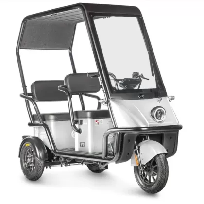 Электротрицикл Wanshida NIPLA 500 60V 1000Вт