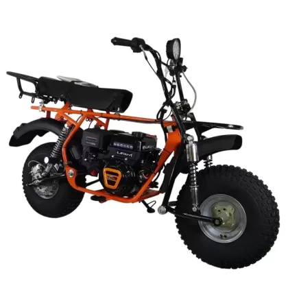 Мотоцикл СКАУТ САФАРИ ПЛЮС 3L-9Е BIGFOOT