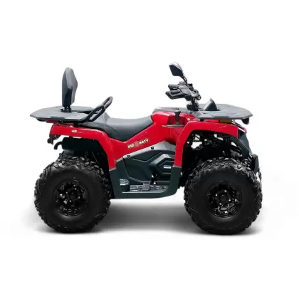 Купить квадроцикл Bizon YK250 LUX EFI ПТС Квадроцикл Bizon YK250 LUX EFI ПТС