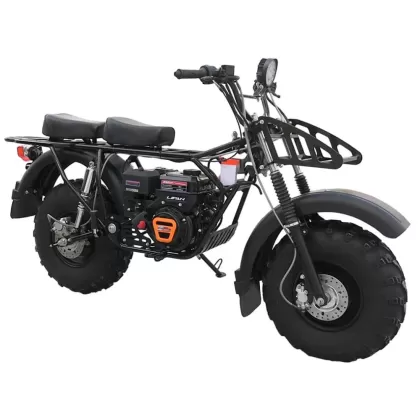 Мотоцикл внедорожный СКАУТ 2F PLUS-8Е+