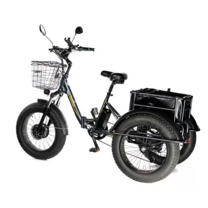 Купить электровелосипед трицикл E-Motions PANDA 750W Электровелосипед трицикл E-Motions PANDA 750W