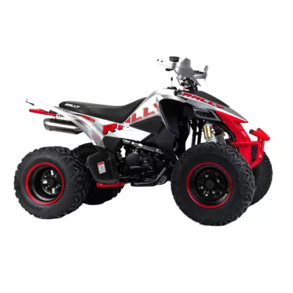 Купить квадроцикл Motoland Rally 250cc (мотокомплект) Комплект запчастей Motoland Rally 250cc