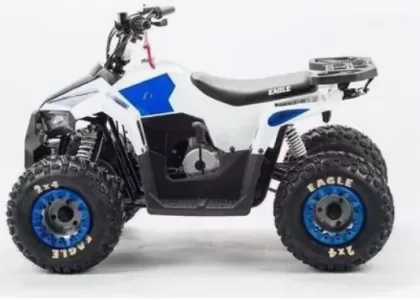 Купить Квадроцикл Motoland Eagle 110 Квадроцикл Motoland Eagle 110