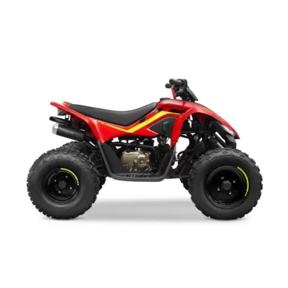 Купить квадроцикл CF Moto C-Force 110 Квадроцикл CF Moto C-Force 110