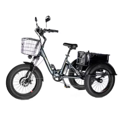 Электровелосипед трицикл E-Motions PANDA 750W