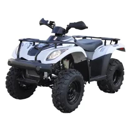 Квадроцикл Linhai LH300b 2х4