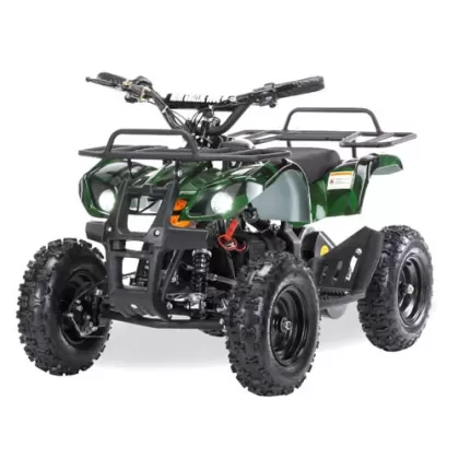 Квадроцикл электрический Motax X-16 1000w