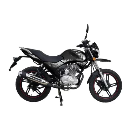 Купить мотоцикл Regulmoto SK200-9 Мотоцикл Regulmoto SK200-9
