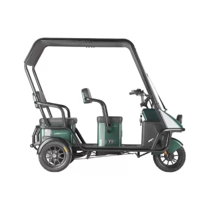 Купить электротрицикл Wanshida NIPLA 500 60V 1000Вт Электротрицикл Wanshida NIPLA 500 60V 1000Вт