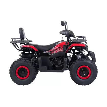 Купить квадроцикл Racer (Рейсер) RC200 GLADIATOR 200cc (машинокомплект) Квадроцикл Racer (Рейсер) RC200 GLADIATOR 200cc (машинокомплект)