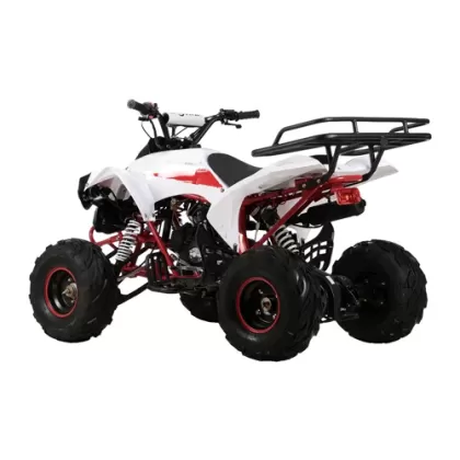 Купить квадроцикл WARRIOR RG7 125см + коробка автомат Квадроцикл WARRIOR RG7 125см + коробка автомат