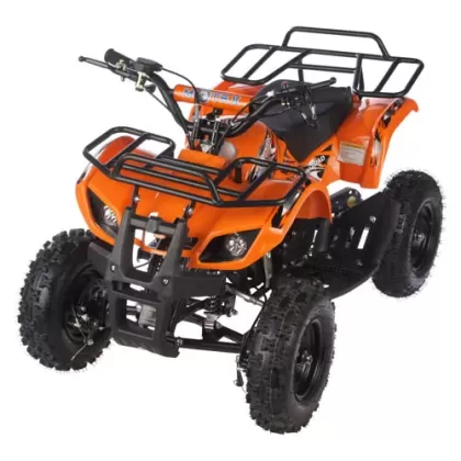 Квадроцикл Motax Mini Grizlik Х-16 49cc с механическим стартером