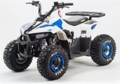Квадроцикл Motoland Eagle 110 