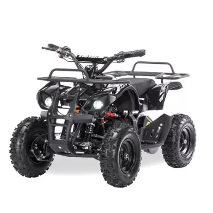 Квадроцикл электрический Motax Grizlik X-16 800W