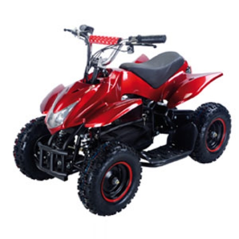 Купить квадроцикл электрический Triton 800W новинка 2016 года