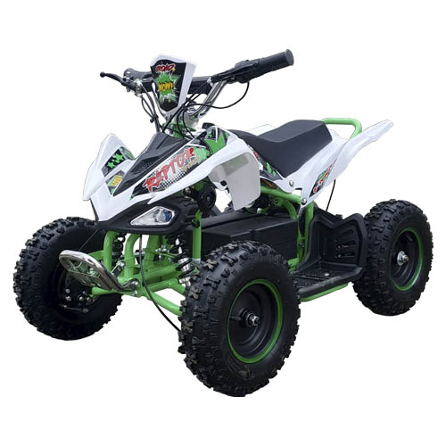 Купить квадроцикл электрический MMG ECO Python 800W