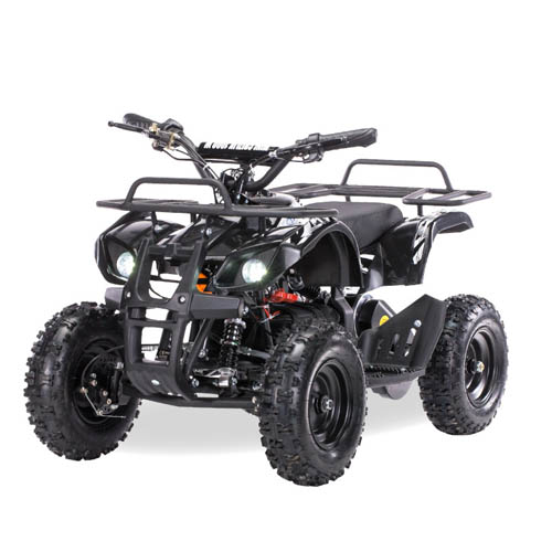 Квадроцикл электрический Motax Grizlik X-16 800W