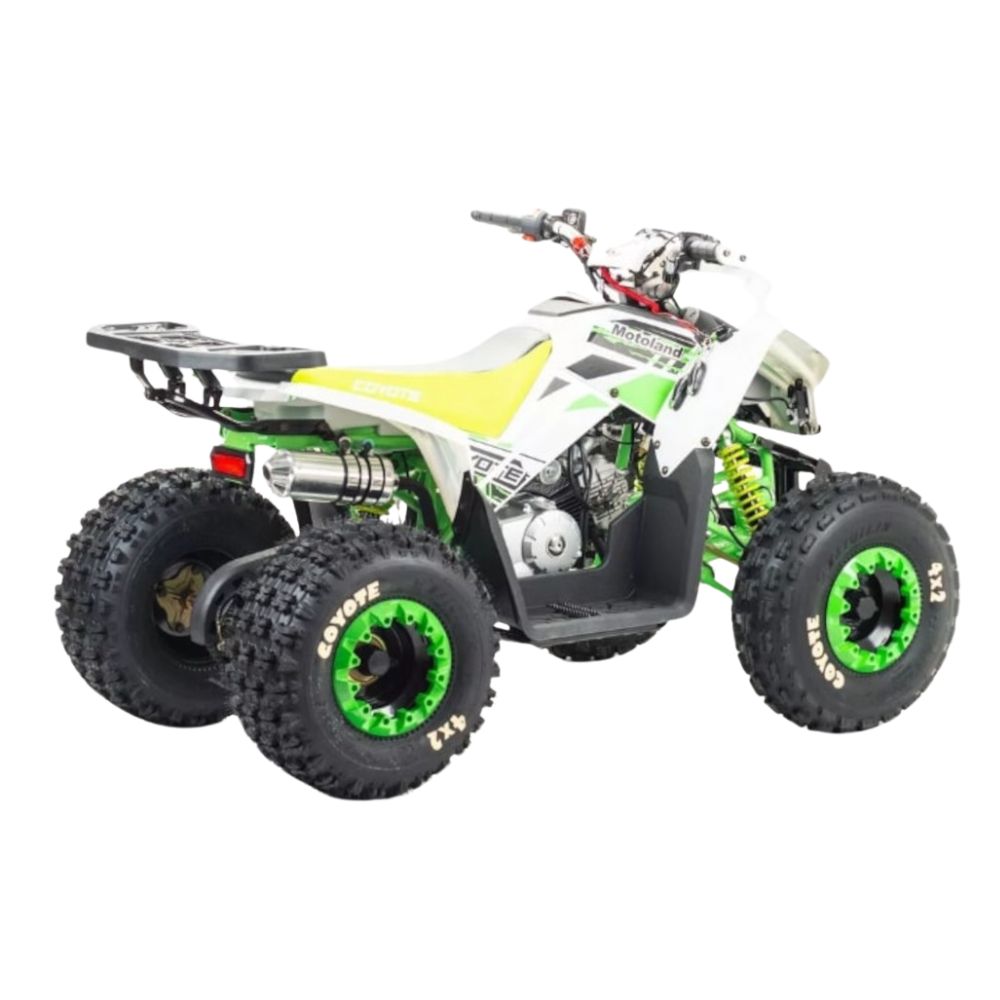 Комплект запчастей MotoLand Coyote 125cc 