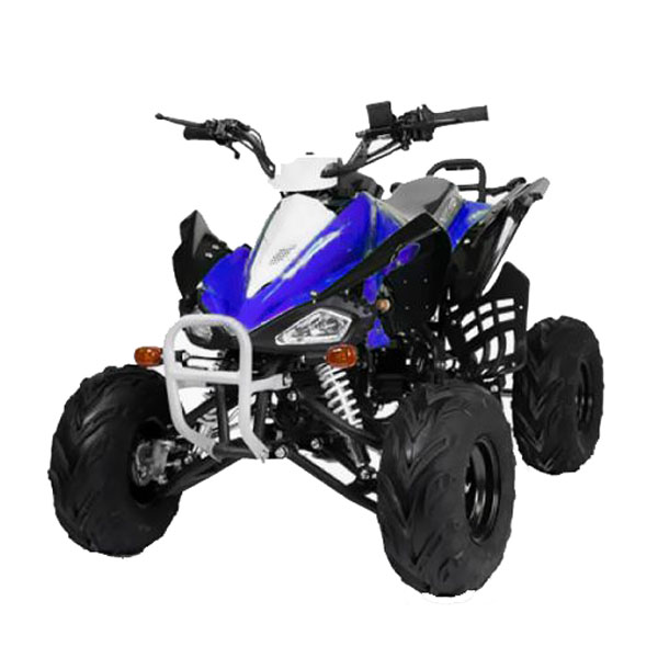 Купить квадроцикл бензиновый 110cc Speedy Q7 с 7 дюймовыми колесами