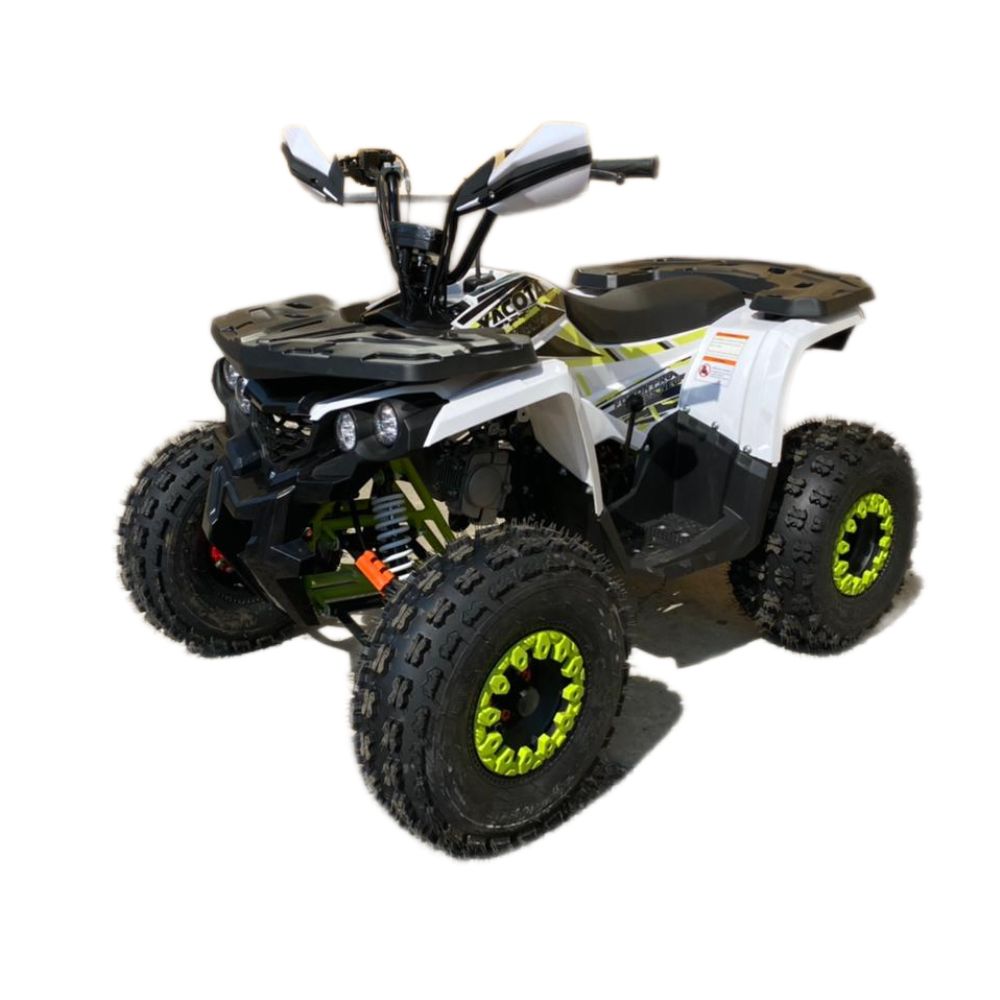 Квадроцикл YACOTA FUSION PRO 125 NEW (мотокомплект)