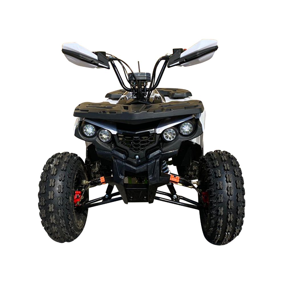 Квадроцикл YACOTA FUSION PRO 125 NEW (мотокомплект)