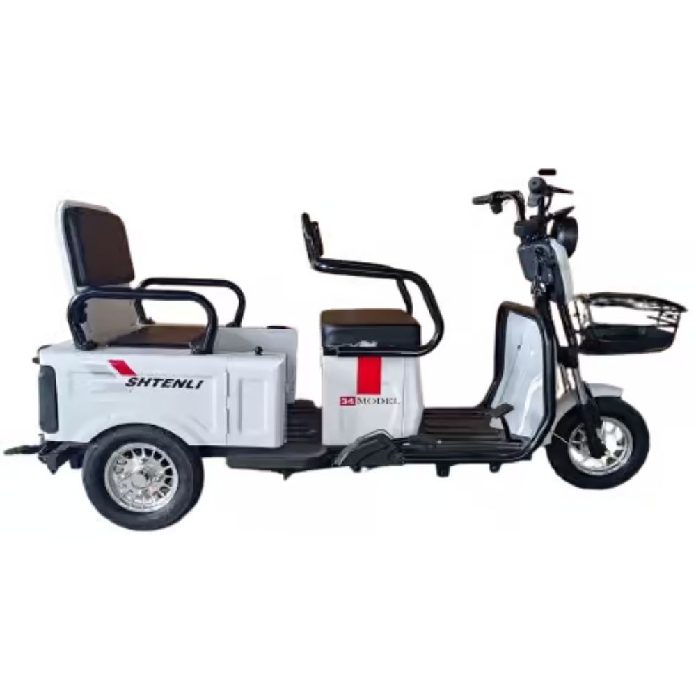 Купить электроскутер трехколесный Shtenli Model 34 2в1 60V 20Ah