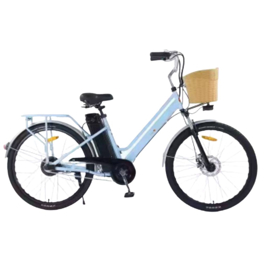 Купить электровелосипед TERAX NS008