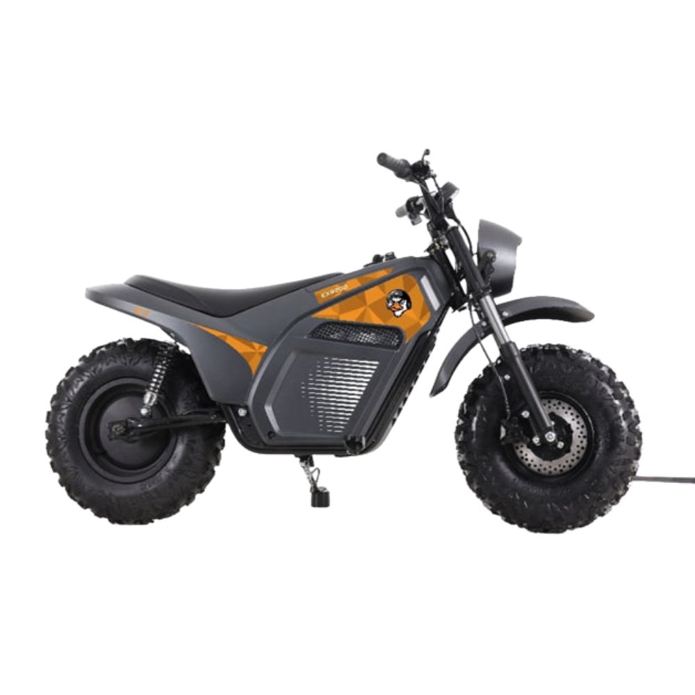 Купить Электрический минибайк Lucky Duck EXR200