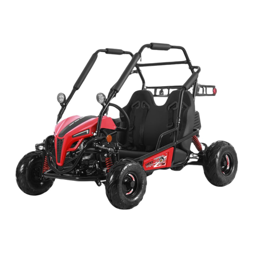 Электрический внедорожный багги Lucky Duck EVX200