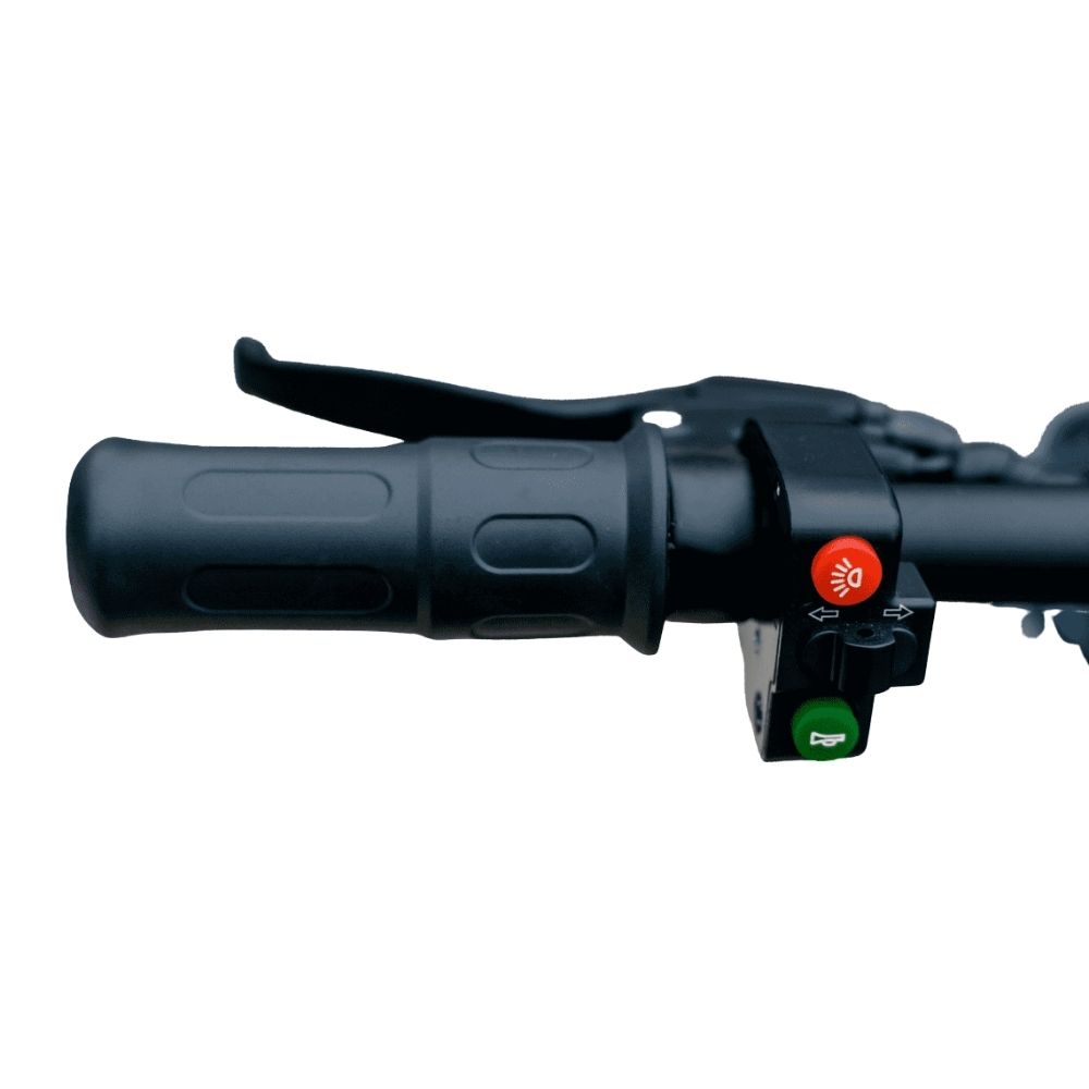 Электросамокат AVM DELTA BIG