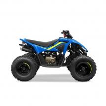 Квадроцикл CF Moto C-Force 110