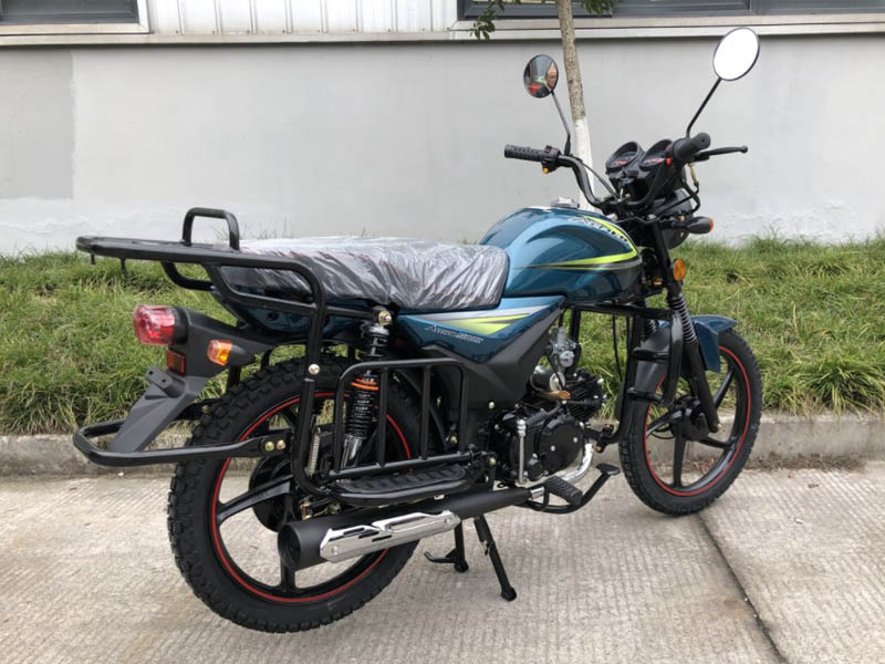 moped-roliz-alpha-turist-49-110cc-3